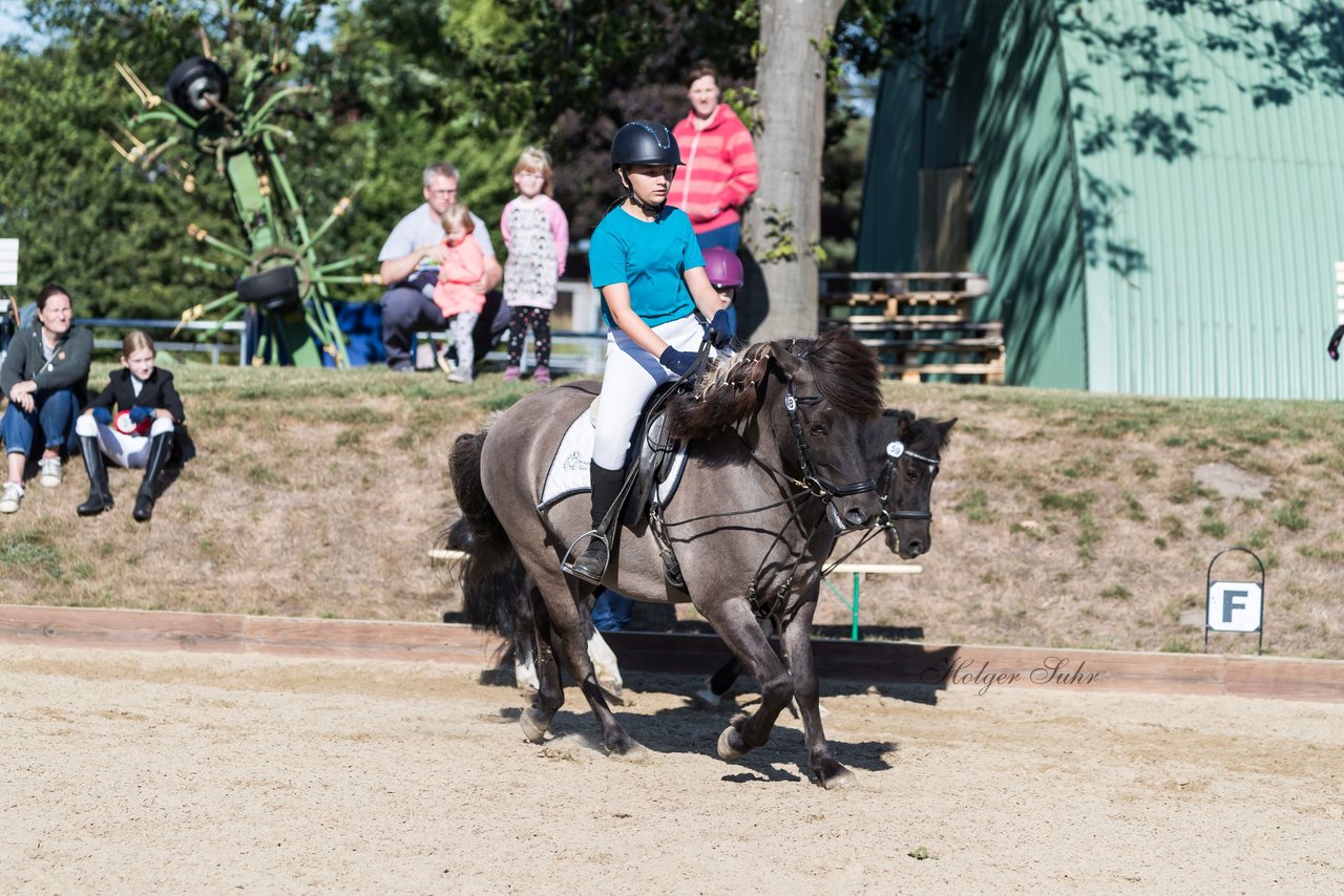 Bild 50 - Pony Akademie Turnier